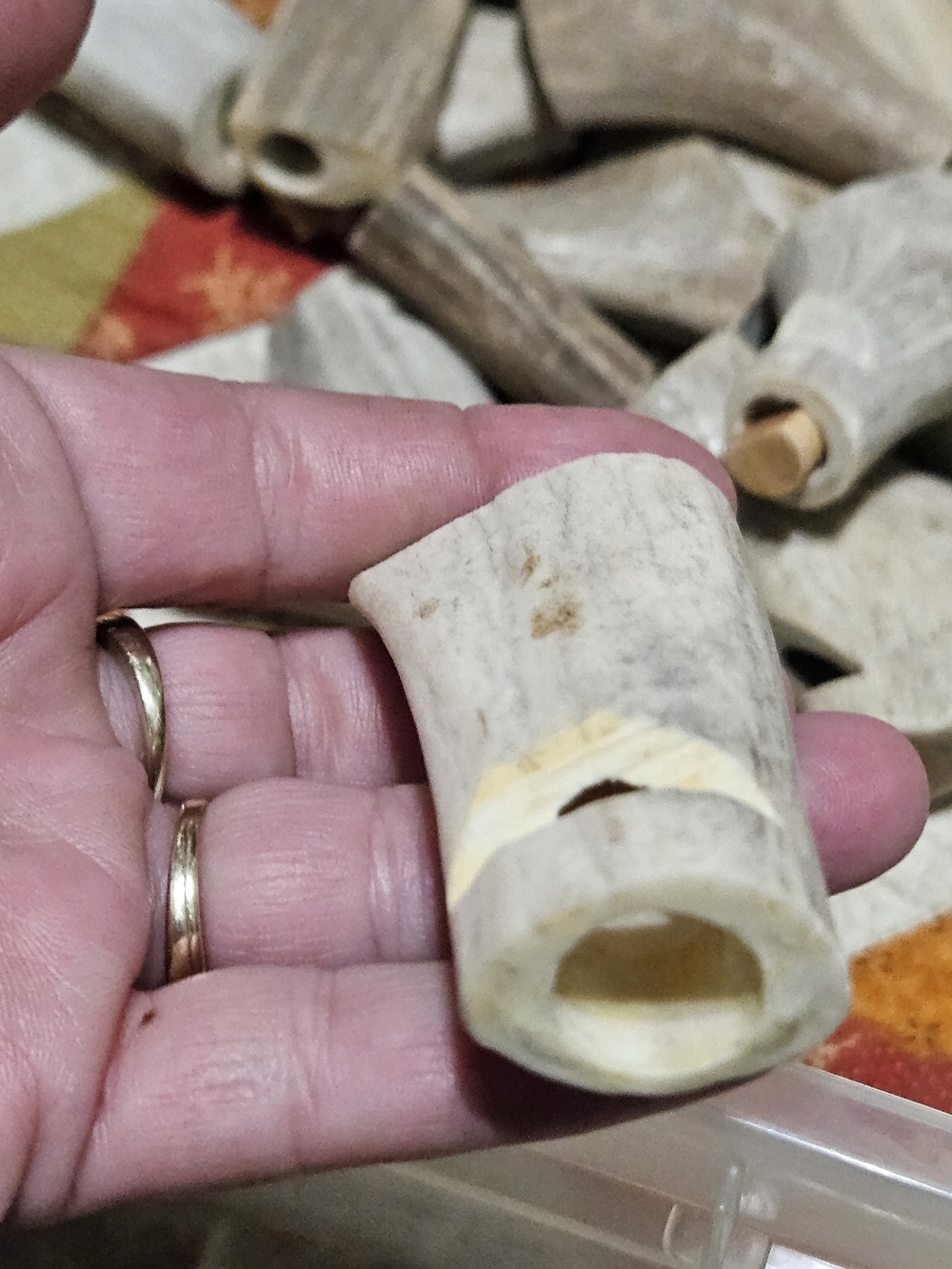 Natural Deer Antler Whistles?Accents? Cut And Drilled – Neutral Gray/Brown - Picture 6 of 16